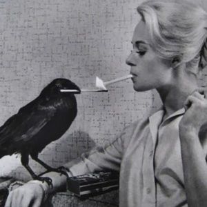 Meet your Posher, Diana